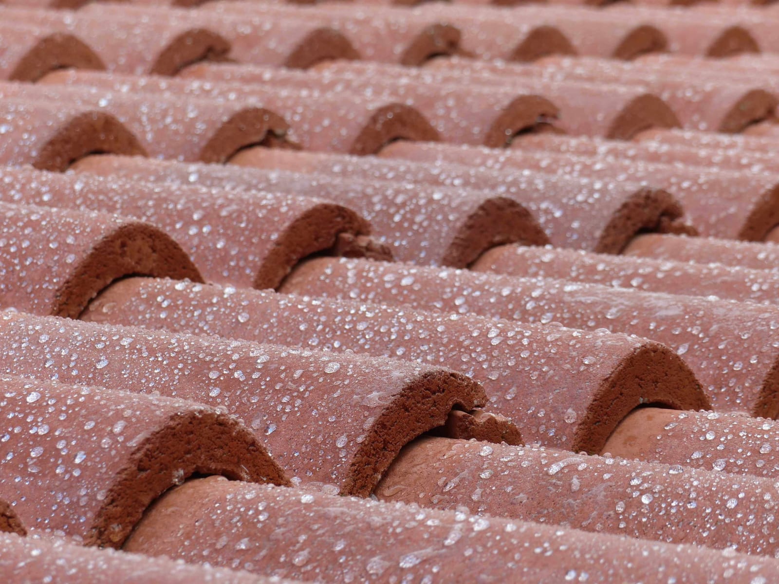 Tuiles propres après traitement anti-mousse, perlage de l'eau en surface
